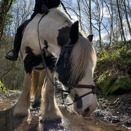 Domaine Chateau Le Risdoux 20pers, Unieke Locatie Vireux-Wallerand