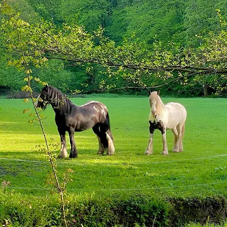 Domaine Chateau Le Risdoux 20pers, Unieke Locatie Vireux-Wallerand